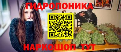 шишки Краснодар