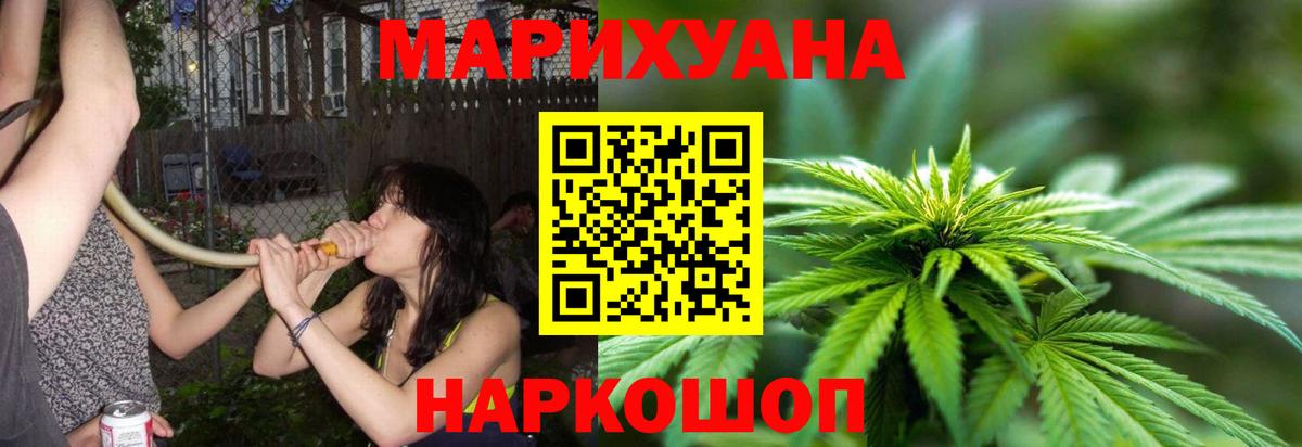 Бошки Шишки семена Киров